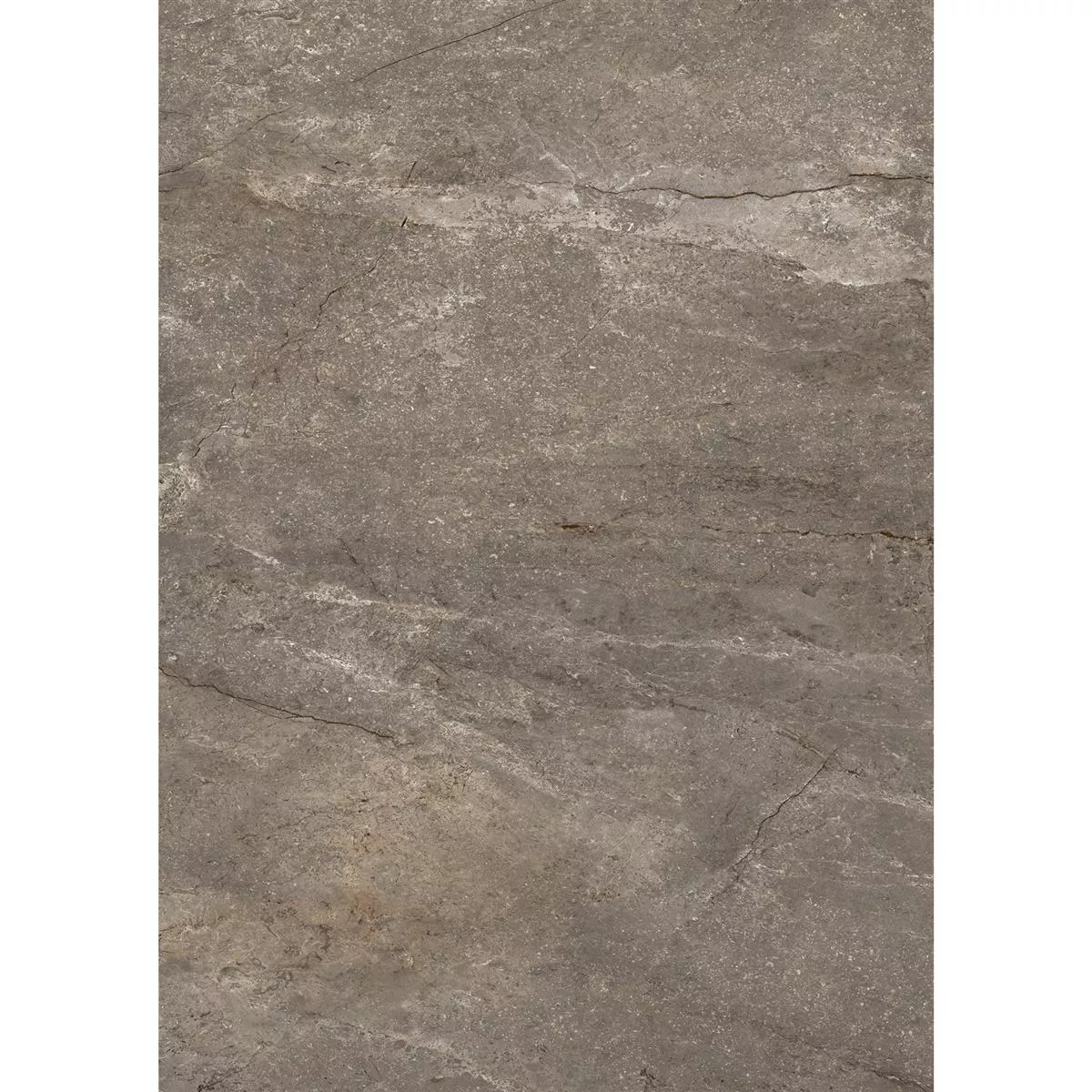 Lattialaatat Pangea Marmorinen Ilme Himmeä Mokka 60x120cm
