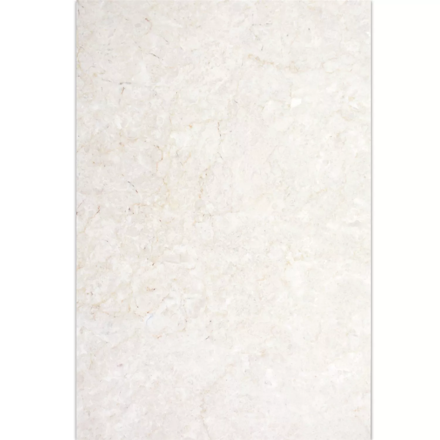 Luonnonkivilaatat Marmori Afyon Beige 40,6x61cm