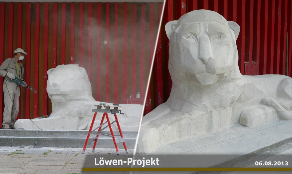 Lasten lionprojekti 2013