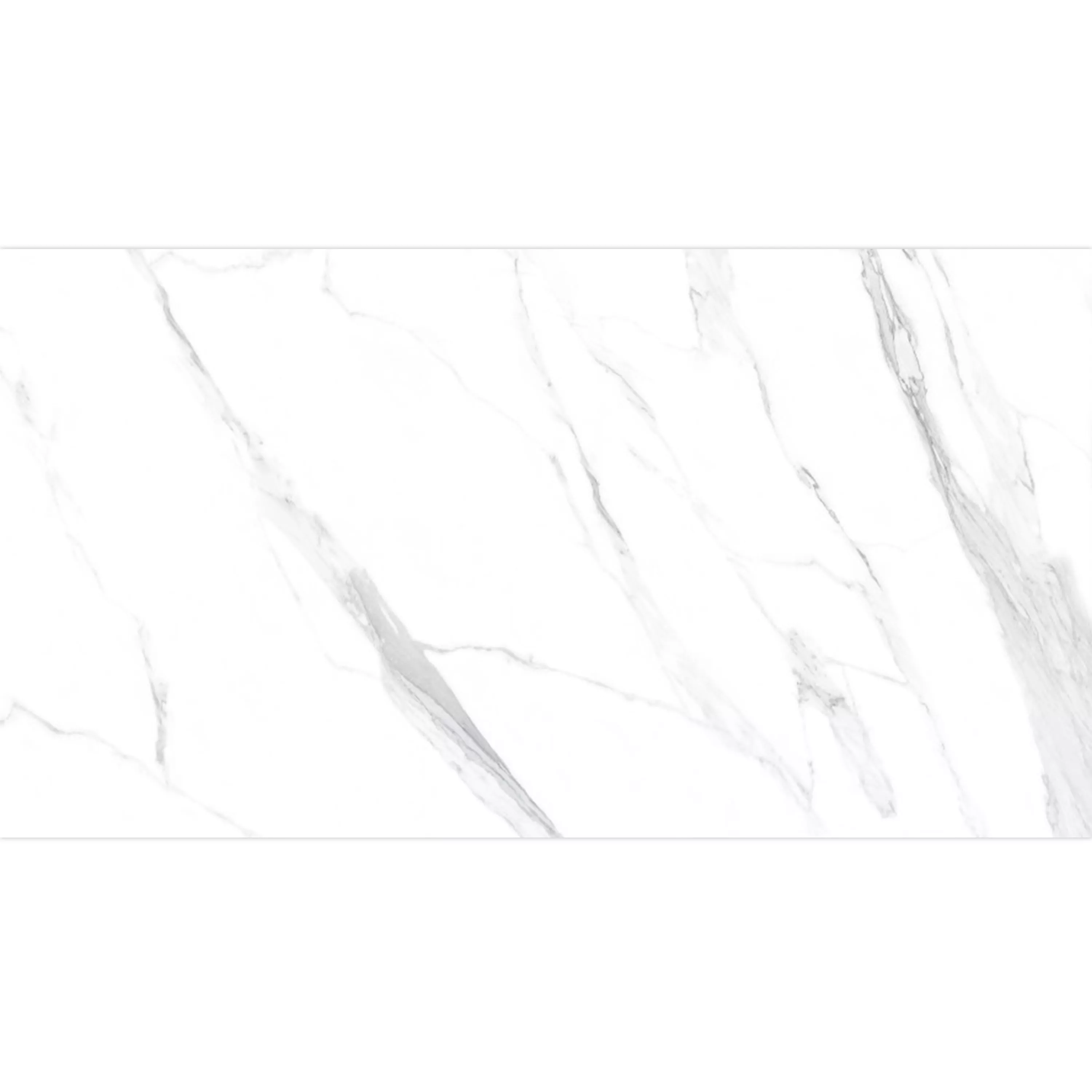 Lattialaatat Louisburg Statuario Valkoinen Himmeä Korjattu 30x60cm