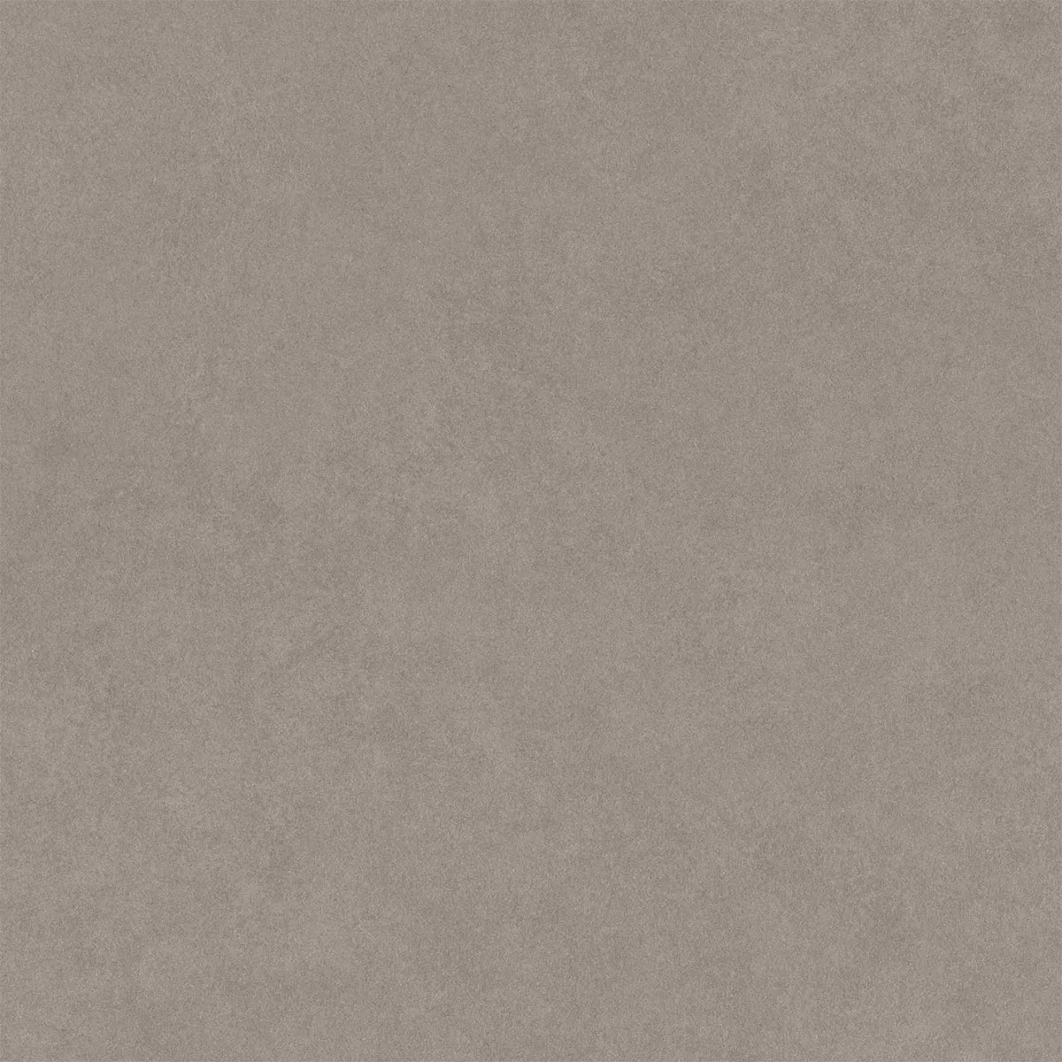 Kolossal Vaalean Harmaa 60x60 cm