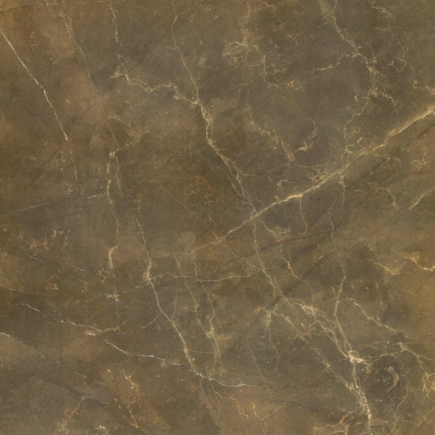 Lattialaatat Marmorinen Ilme Imperial Khaki 80x80cm Lattialaatat Marmorinen Ilme Imperial Khaki 80x80cm