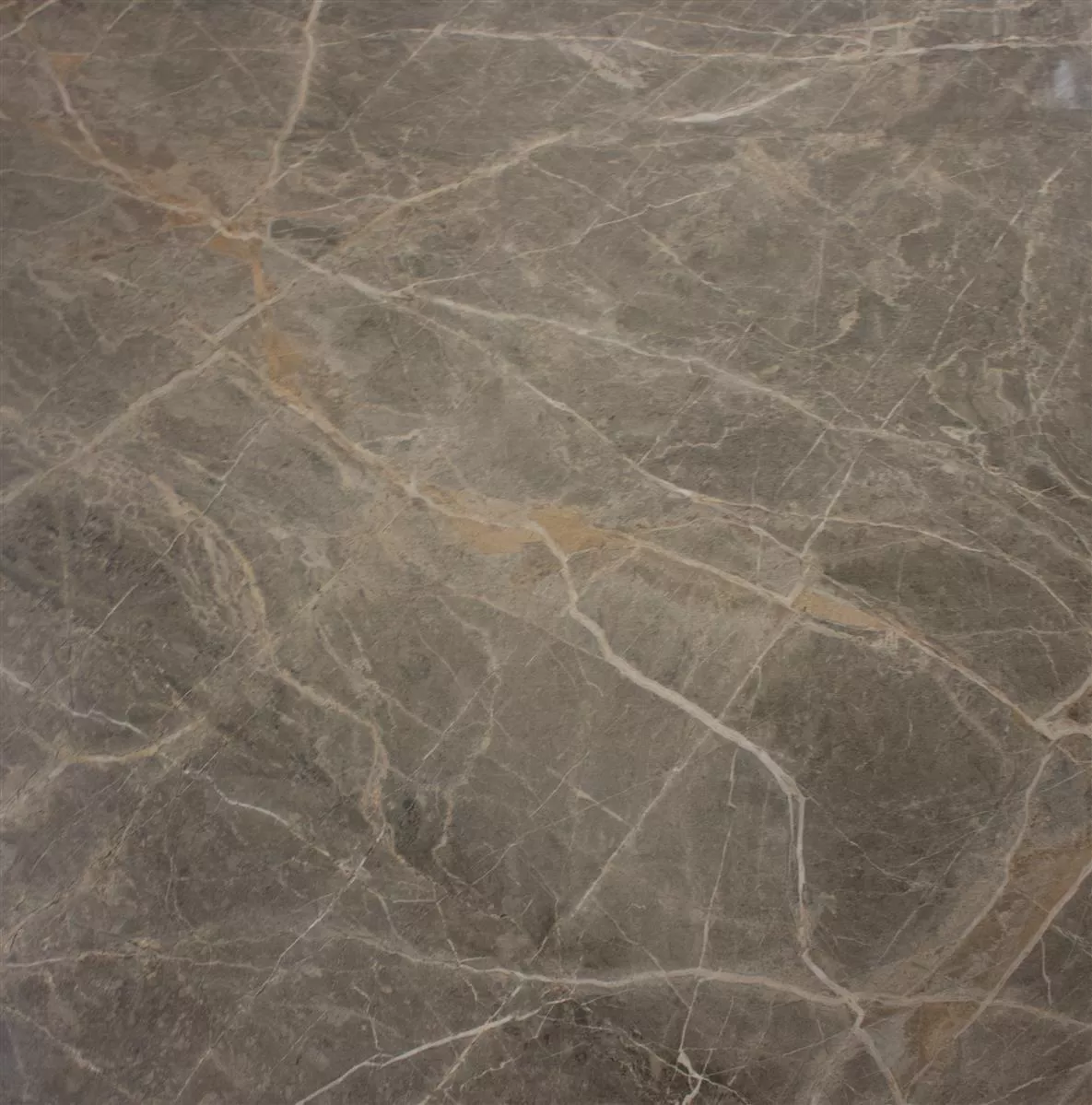 Lattialaatta Zeven Harmaa Beige Kulta Liuskekivi Näyttää 60x60cm