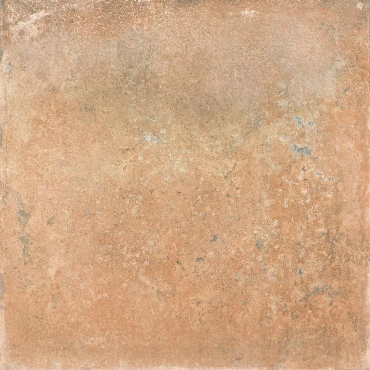 Queens Terrakotta Ruskea 25x25 cm