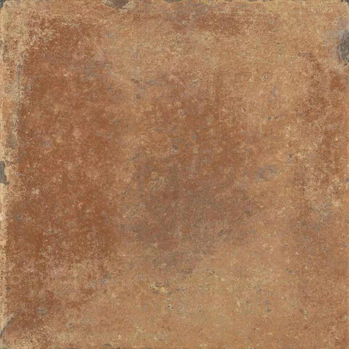 Queens Terrakotta Tumman Ruskea 25x25 cm